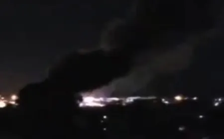 بالفيديو - الليلكي منذ قليل