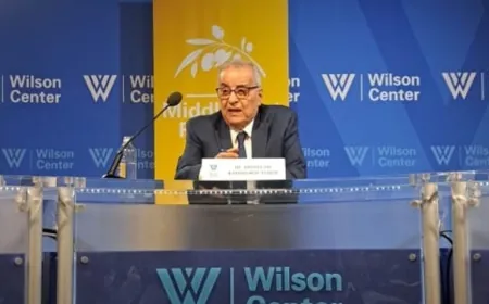 بو حبيب: لبنان وافق على المبادرة "الأميركية-الفرنسية" رغم تنصل إسرائيل منها