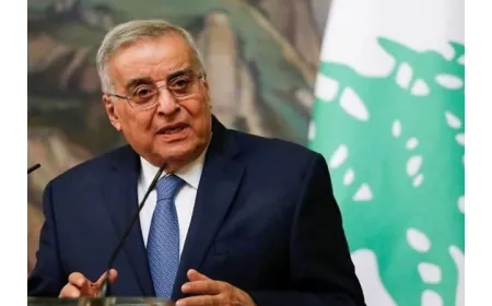 "قبل اغتياله"...بوحبيب يكشف: نصرالله وافق على وقف إطلاق النار