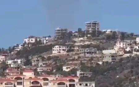 بالفيديو -لحظة حصول الغارة على عيتا الشعب صباحا