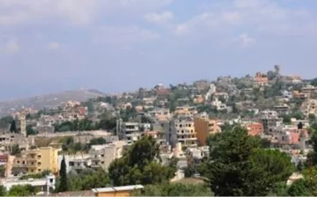 إصابات في صفوف عناصر في الجيش والصليب الأحمر.. مسيّرة إسرائيليّة استهدفتهم
