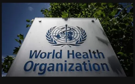 منظمة الصحة العالمية: 28 موظفا بقطاع الصحة قتلوا في لبنان في 24 ساعة