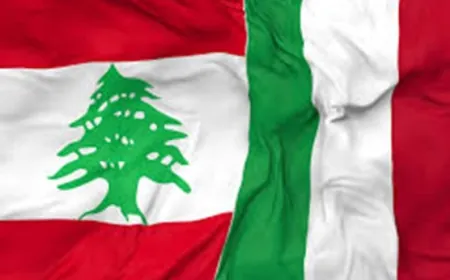 سفيرة لبنان لدى ايطاليا عرضت مع المسؤولين الايطاليين الجهود لوقف العدوان على لبنان وتأمين مساعدات
