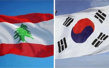 طائرة عسكريّة كوريّة جنوبيّة تُجلي 97 شخصاً من لبنان