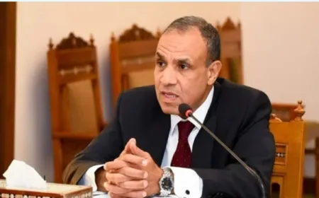 عبد العاطي: القاهرة ترفض المساس بالسيادة اللبنانية