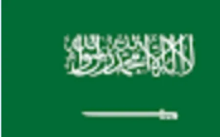 السفير السعودي عاد إلى بيروت الأحد لمدة ٢٤ ساعة فقط لتدشين حملة الإغاثة السعودية وإحاطة رئيس الحكومة بعدد الشحنات والمحتويات وعاد إلى الرياض الإثنين والسفارة السعودية مغلقة منذ أسبوعين بانتظار تحسن الأوضاع