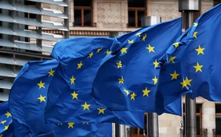 الاتحاد الأوروبي يطلق عملية جسر جوي إنساني للبنان ويحشد المزيد من المساعدات من الدول الأعضاء