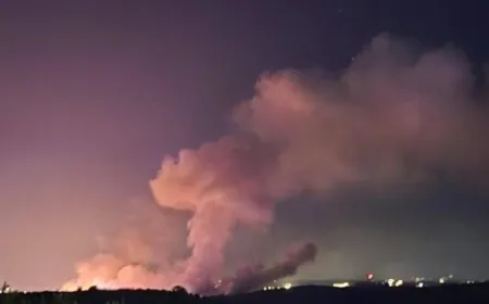 شهداء وجرحى بغارة البيسرية (فيديو)