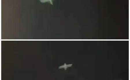 قناة "كان" العبرية: طائرتان مسيّرتان أطلقتا من لبنان نحو "هرتسيليا" ومحيطها.