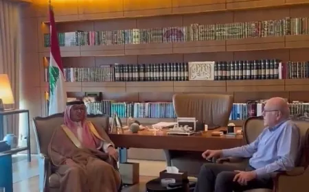 اجتماع يجمع رئيس الحكومة نجيب ميقاتي والسفير السعودي وليد بخاري بهذه الأثناء