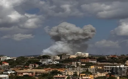 ‏5 شهداء في الغارة الإسرائيلية على صربين