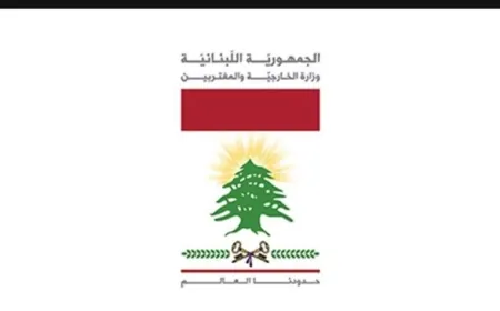 الخارجية قدمت شكوى جديدة الى مجلس الأمن: لإدانة العدوان الإسرائيلي المتواصل على لبنان