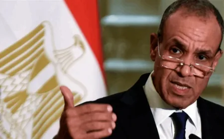 وزير الخارجية المصري: القاهرة تعمل مع الشركاء للتوصل لوقف لإطلاق النار