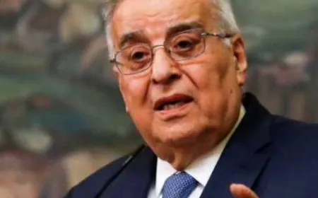 بو حبيب عرض مستجدات العدوان الاسرائيلي على لبنان