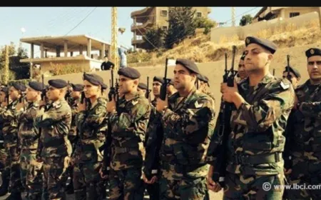 دعم الجيش بين بري والسفير الفرنسي