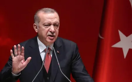 إردوغان يدعو إلى حظر أممي على تصدير الأسلحة لإسرائيل