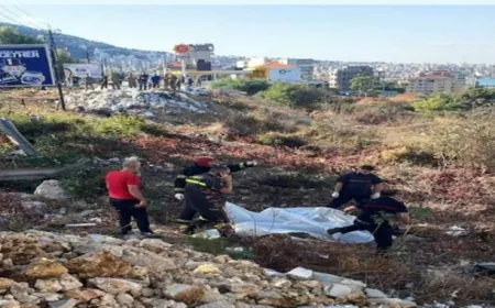 سفارة إيران تستنكر مقتل إيرانية مع زوجها في لبنان