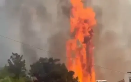 بالفيديو -حريق الربوة مستمرّ ويتوسّع...