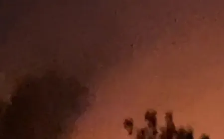 بالفيديو -تجدّد حريق ‎الربوة في رقعة قريبة من المنازل