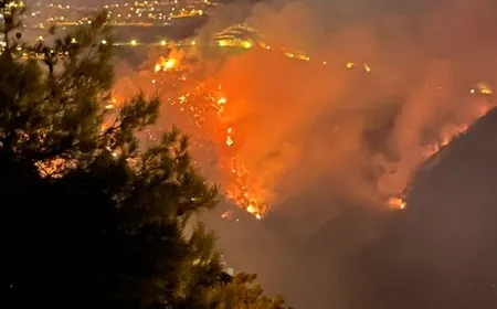 الحرائق تتجدد في الربوة قرب المنازل والأهالي يناشدون الدولة للاستعانة بطائرات من قبرص لإطفائها