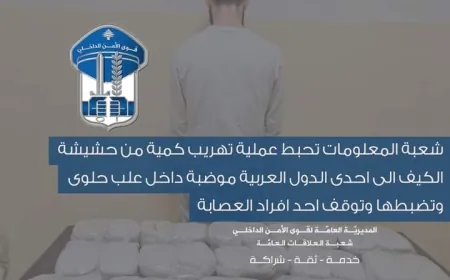 شعبة المعلومات تحبط عملية تهريب كمية من حشيشة الكيف الى احدى الدول العربية موضبة داخل علب حلوى وتضبطها وتوقف احد افراد العصابة