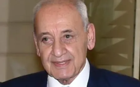 بري بحث والمكاري وسليم في الأوضاع... ضو: الـ1701 مدخل لوقف النار