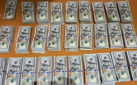 بقيمة 271,500 دولار أميركي... إحباط عمليّة تهريب مبلغ مالي مُزيَّف