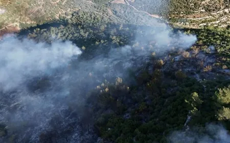 حريق كبير بأحراج الصنوبر في عكار