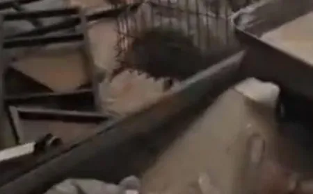 بالفيديو - الدمار الناتج عن سقوط صواريخ في برج الكروم