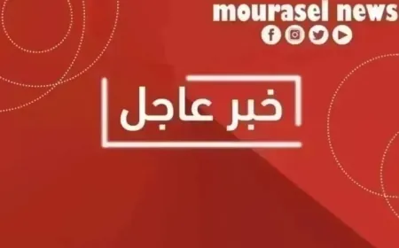 غارة عنيفة على بلدة البرغلية