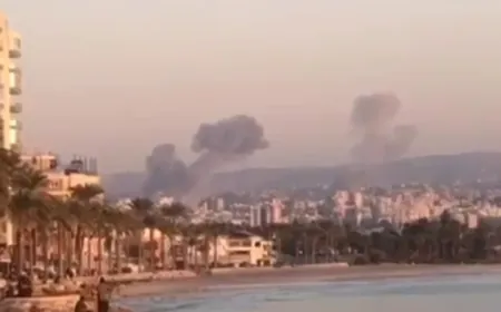 بالفيديو -سلسلة غار.ات في قضاء صور