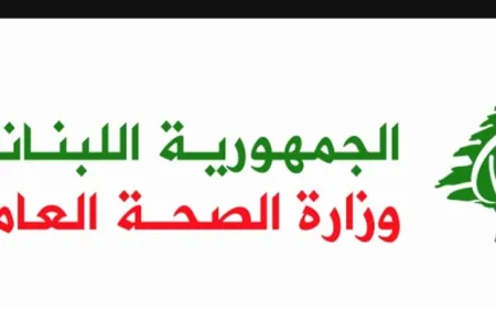 19 شهيدا جراء الهجمات الاسرائيلية أمس السبت...