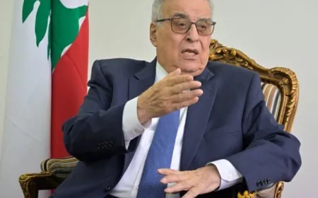 بو حبيب: لإعادة النازحين على طرفي الحدود وتقديم مساعدات عاجلة لمليون وأربعمئة ألف نازح لبناني