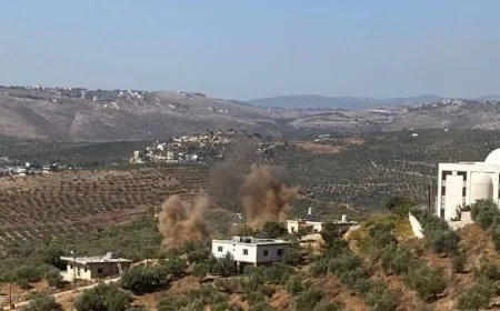 مدفعية العدو "الإسرائيلي" تستهدف محيط المنازل في مزرعة حلتا في ‎جنوب_لبنان