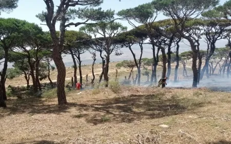 حريق هائل يلتهم أحراج الصنوبر في قضاء جزين!