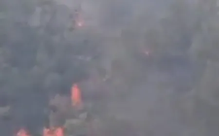 بالفيديو -اندلاع حريق كبير في أحراج بلدة ‎كفرقطرة في ‎الشوف