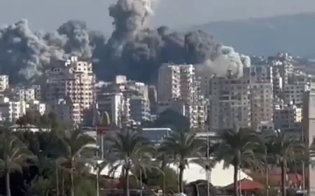 بالفيديو - غارتان على الحوش صور