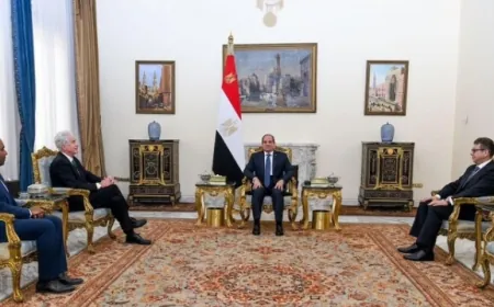 بيرنز في القاهرة... السيسي: حل الدولتين ضروري لتحقيق السلام