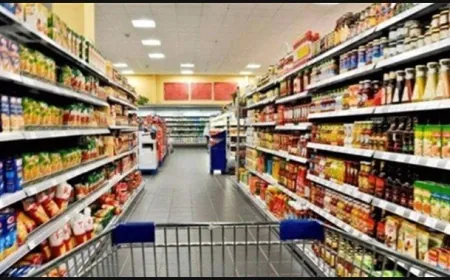 ٢٨ محضر ضبط في محافظة الشمال أحيلت على القضاء