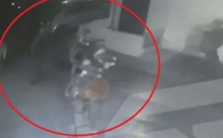 بالفيديو - قوة تنفذ إنزالا على شاطئ البترون وتختطف شخصا