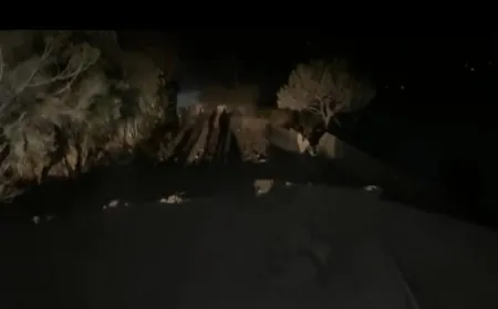 بالفيديو -مشاهد من الغارة على منطقة جرد الهرمل الحدودية مع سوريا