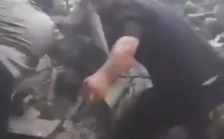 بالفيديو - لحظة انتشال طفلة على قيد الحياة من تحت الأنقاض والركام في الغارة الاسرائيلية على بلدة ‎الغازية منذ قليل