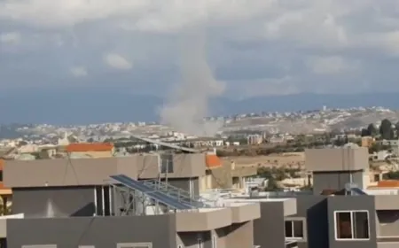 بالفيديو -استهدفت غار.ة إسرائيليّة بلدة البيسارية في قضاء صيدا.