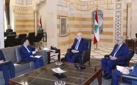 ميقاتي باشر عقد لقاءات ديبلوماسية في إطار دعم موقف لبنان لوقف عدوان إسرائيل