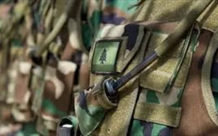 الجيش: توقيف 8 أشخاص ضمن إطار التدابير الأمنية في مختلف المناطق