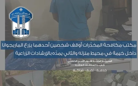 مكتب مكافحة المخدّرات أوقف شخصين أحدهما يزرع الماريجوانا داخل خيمة في محيط منزله والثاني يمدّه بالإرشادات الزراعية