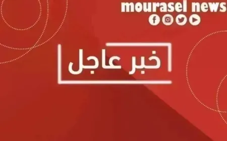 غارة استهدفت قلد السبع في جرود الهرمل