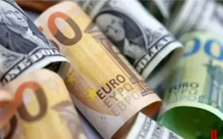 انخفض الدولار الأميركي اليوم الاثنين، إذ تراجعت توقعات المستثمرين بفوز الجمهوري دونالد ترامب في الانتخابات الرئاسية