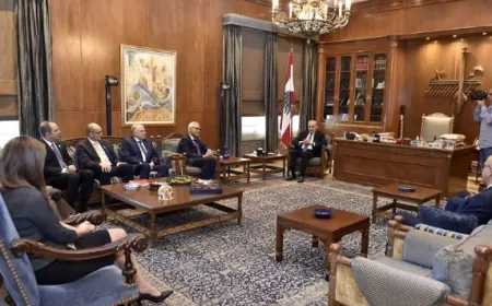 لقاء بري - الأمين العام للإتحاد الدوليّ للصليب الأحمر والهلال الأحمر... لعرض الأوضاع الانسانية