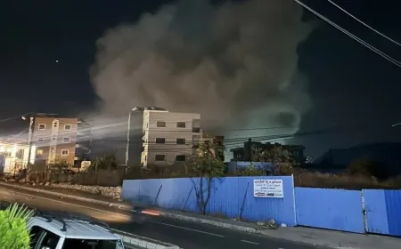 غارة على برجا